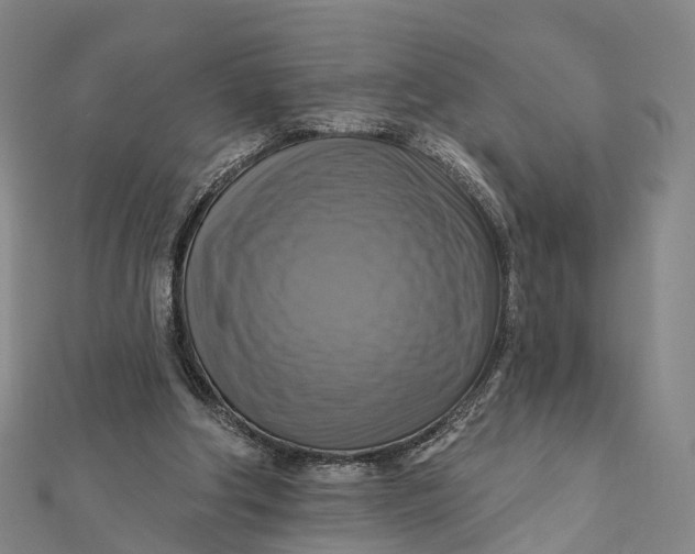 X0000112100202200908251157