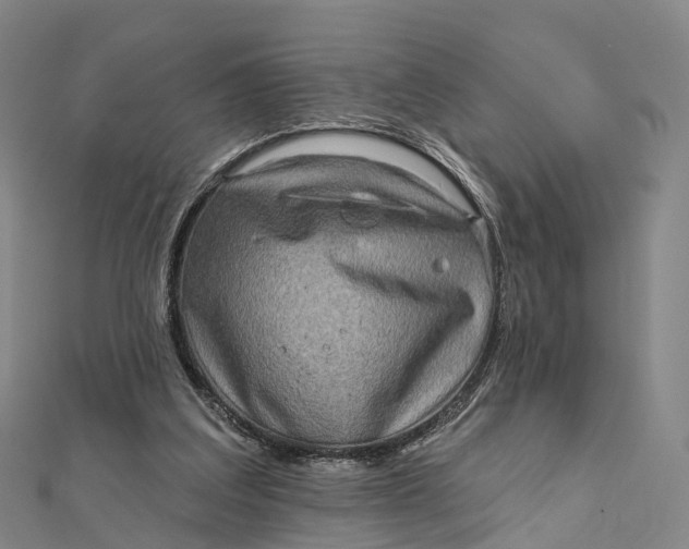 X0000112100203200908251157