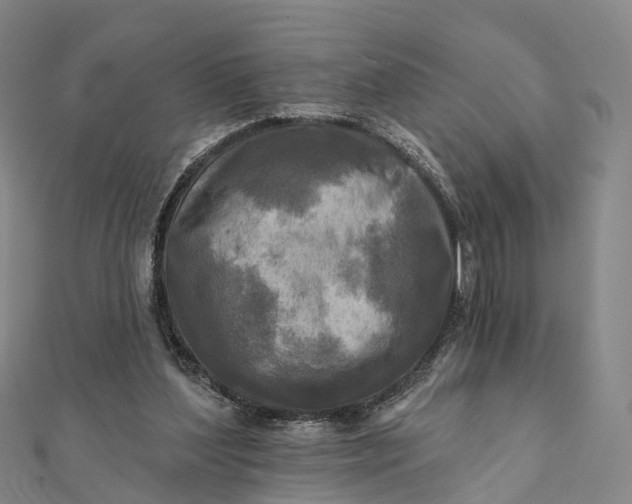 X0000112100204200908251157