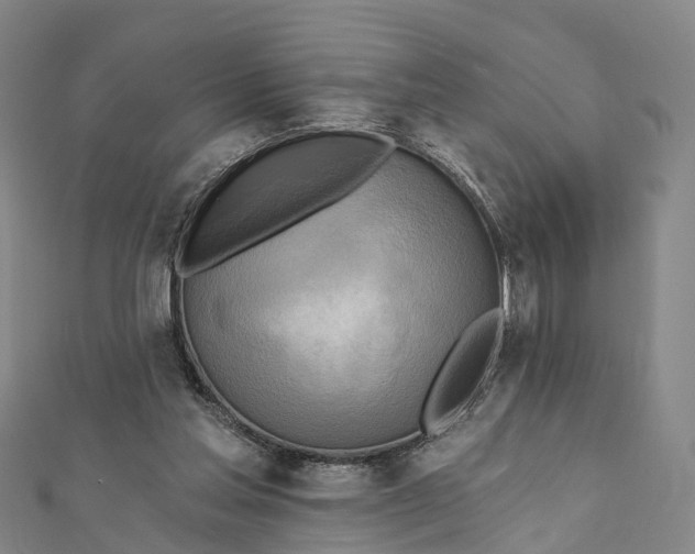 X0000112100205200908251157