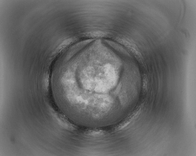 X0000112100206200908251157