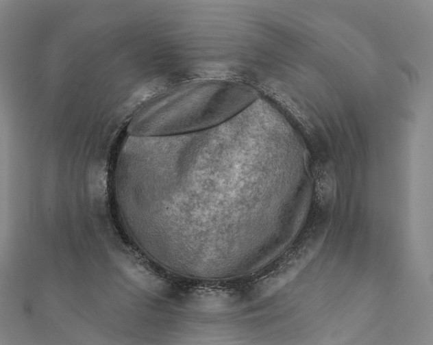 X0000112100207200908251157