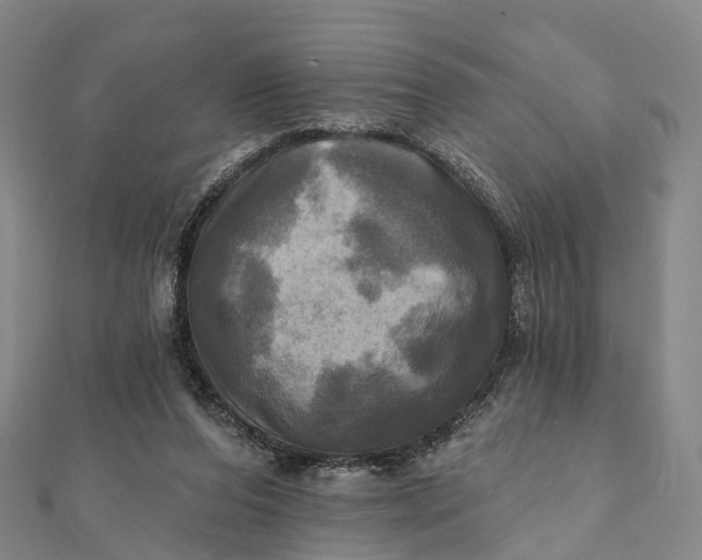 X0000112100208200908251157