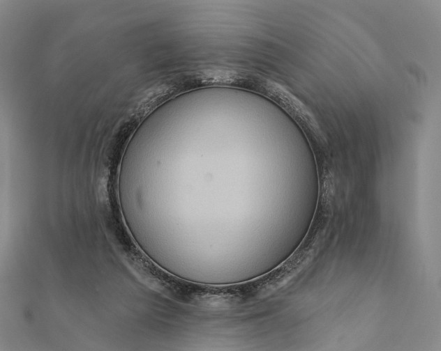 X0000112100209200908251157