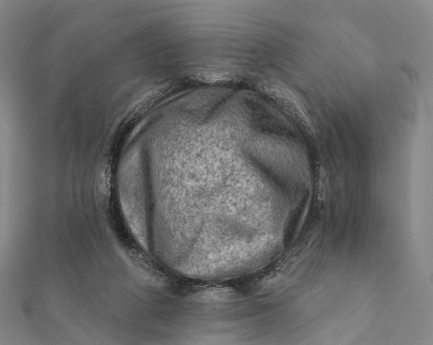 X0000112100210200908251157