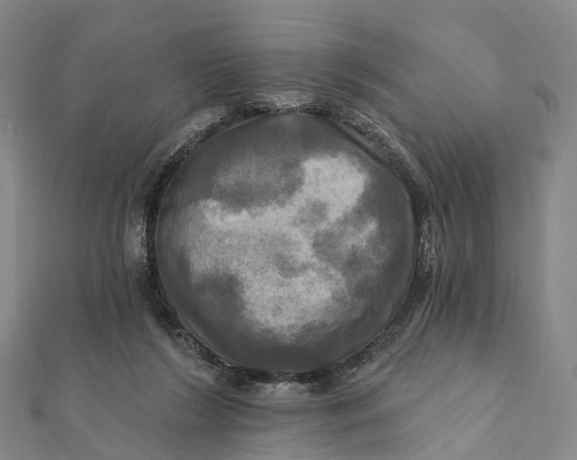 X0000112100212200908251157