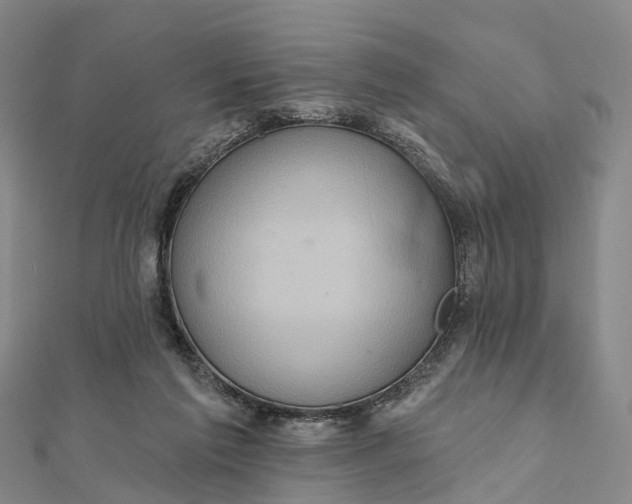 X0000112100213200908251157