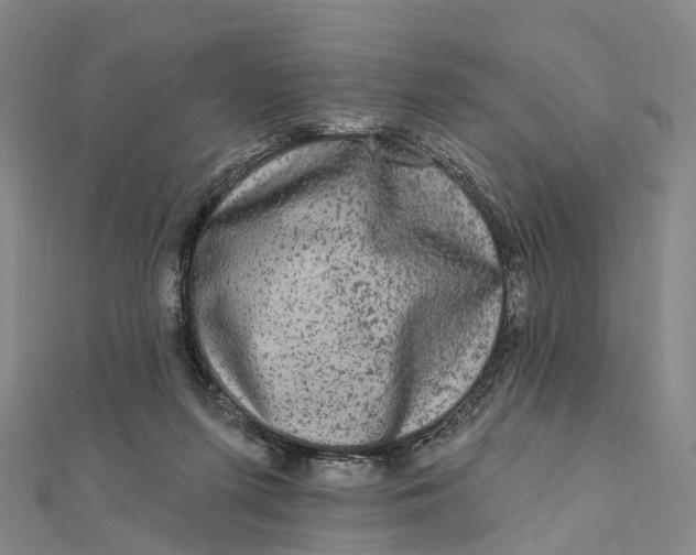 X0000112100215200908251157