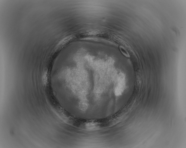 X0000112100216200908251157