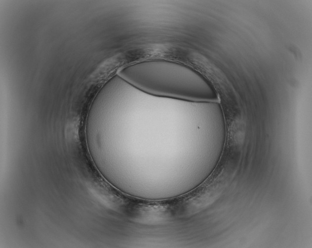 X0000112100217200908251157