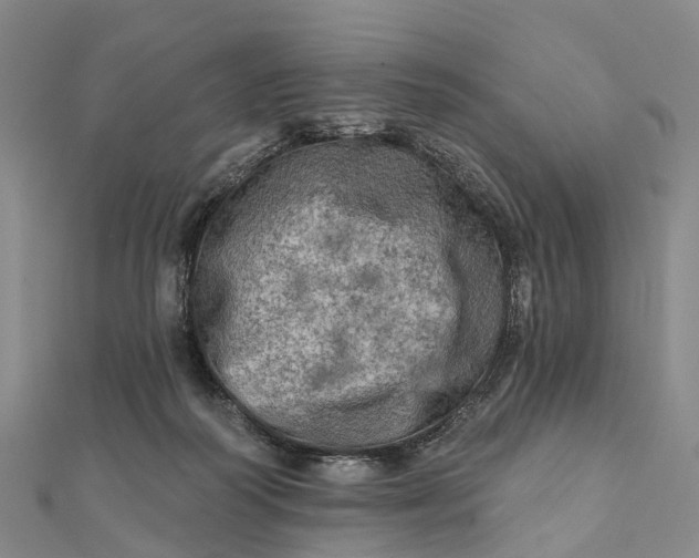 X0000112100218200908251157