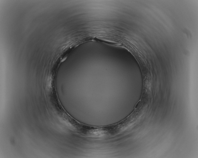 X0000112100219200908251157