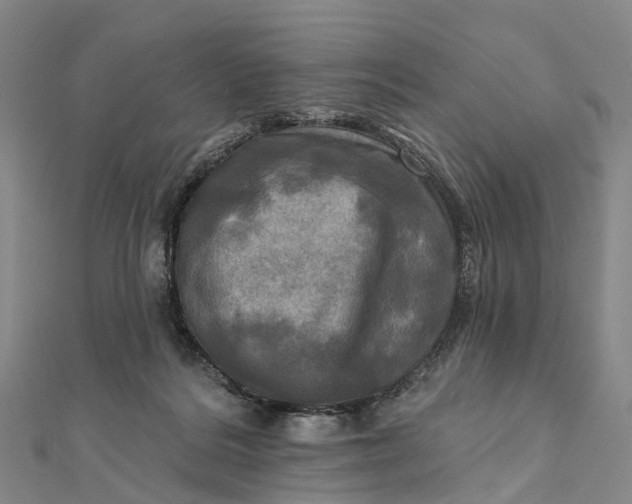 X0000112100220200908251157