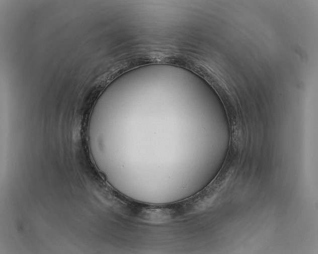 X0000112100221200908251157