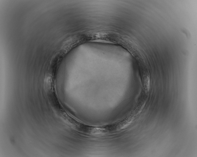 X0000112100222200908251157