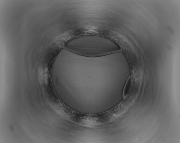 X0000112100223200908251157