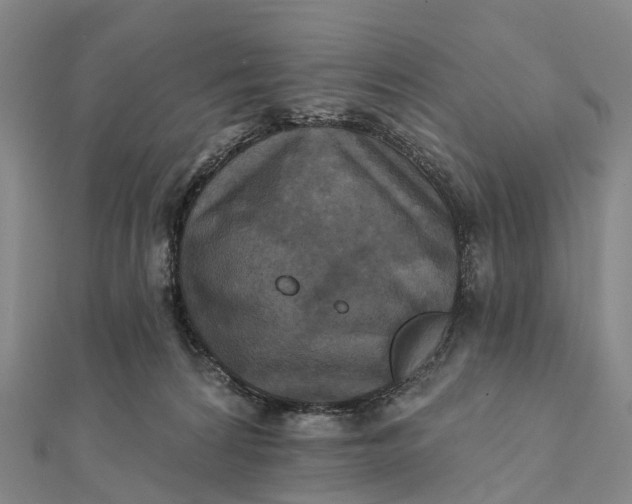 X0000112100224200908251157