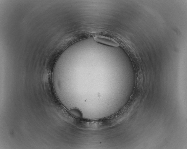 X0000112100225200908251157