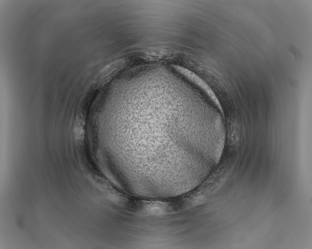 X0000112100226200908251157