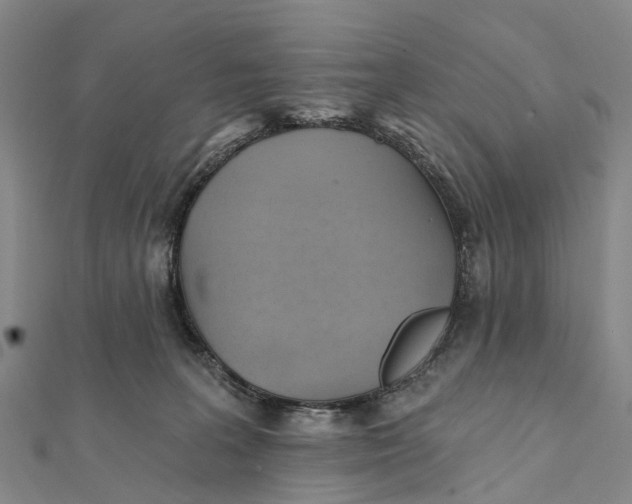 X0000112100227200908251157