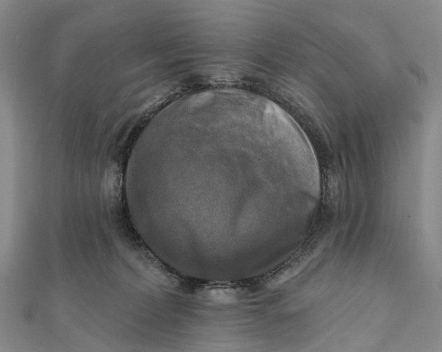 X0000112100228200908251157