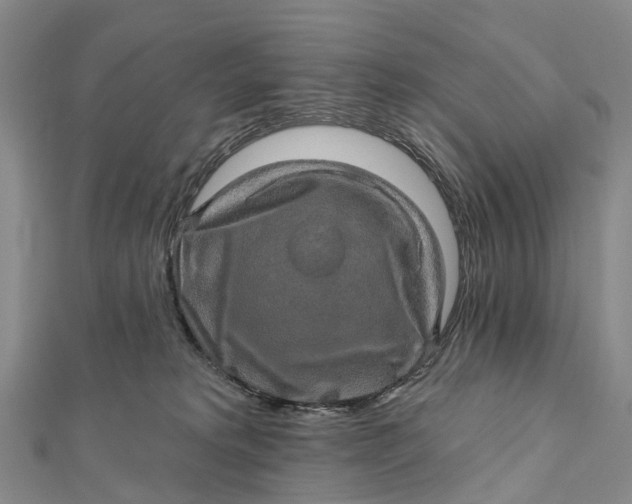 X0000112100229200908251157