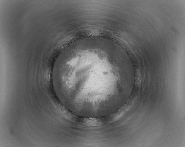 X0000112100230200908251157