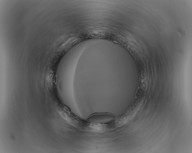 X0000112100231200908251157