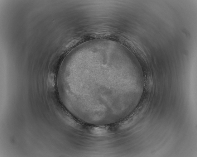 X0000112100232200908251157