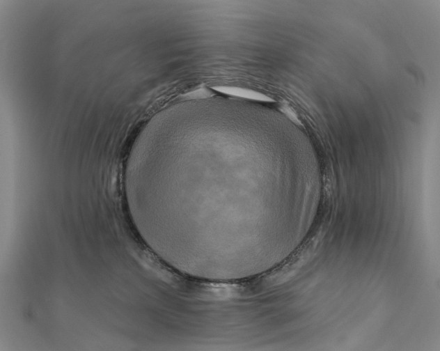 X0000112100233200908251157