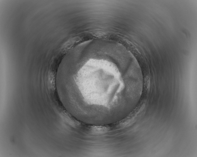 X0000112100234200908251157