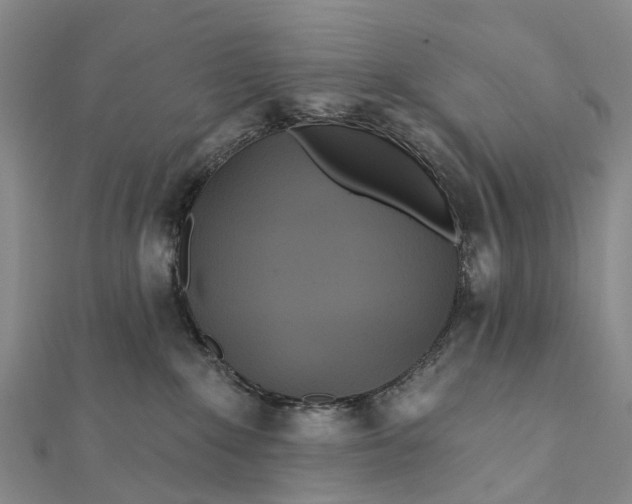 X0000112100235200908251157