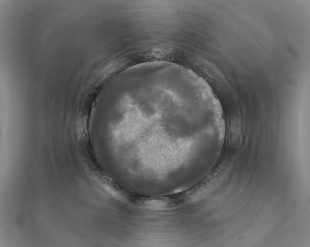 X0000112100236200908251157