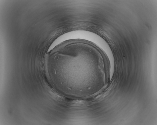 X0000112100237200908251157