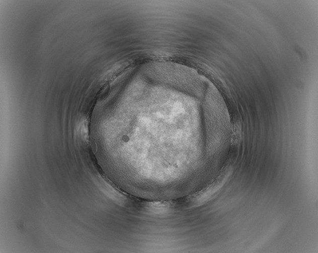 X0000112100238200908251157