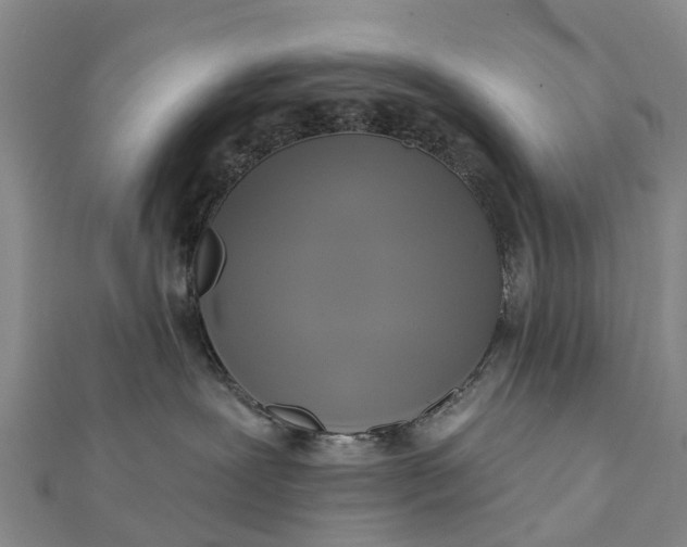 X0000112100239200908251156