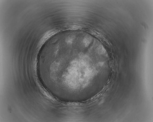 X0000112100242200908251156