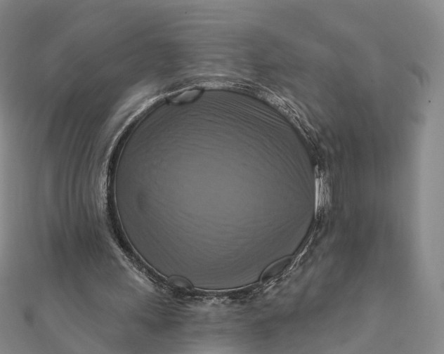 X0000112100243200908251156