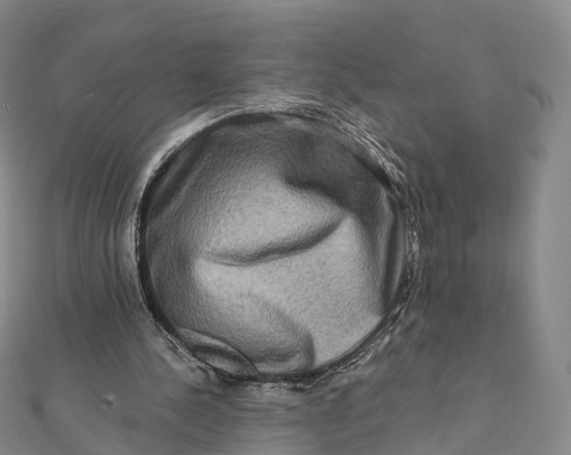 X0000112100244200908251156