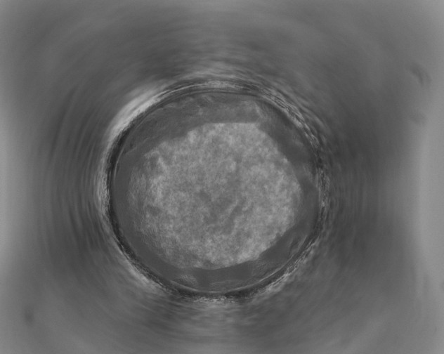 X0000112100245200908251156