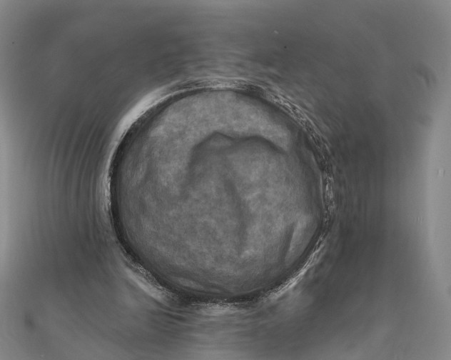 X0000112100246200908251156