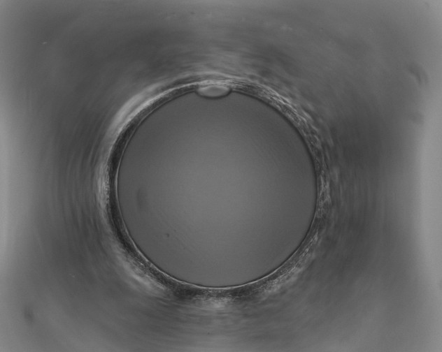 X0000112100247200908251156