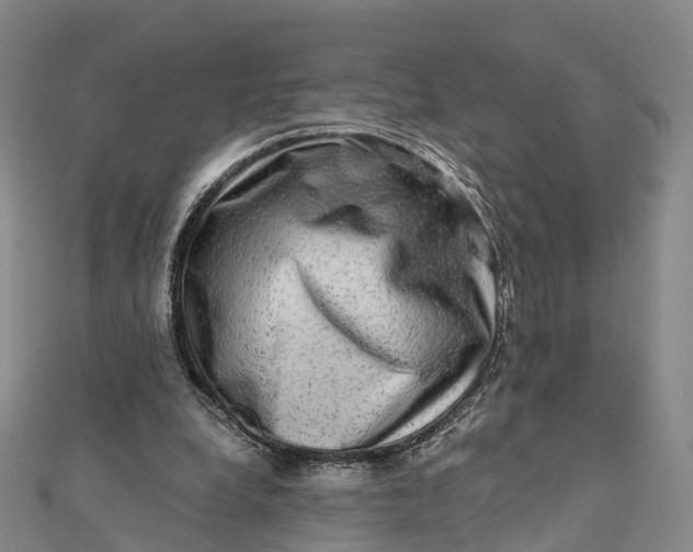 X0000112100248200908251156