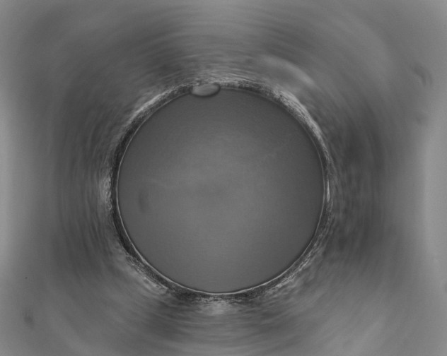 X0000112100249200908251156