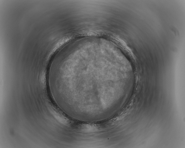 X0000112100250200908251156