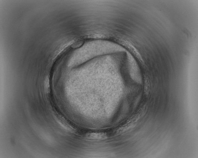 X0000112100251200908251156