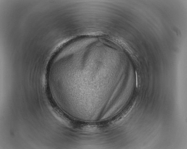 X0000112100252200908251156