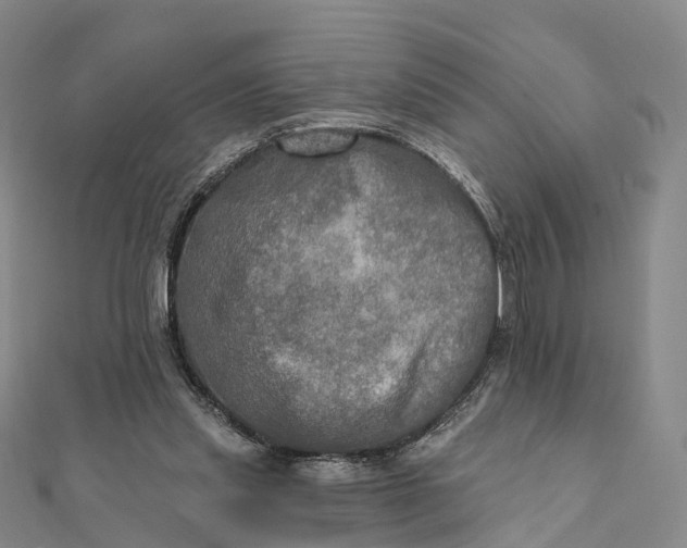 X0000112100253200908251156