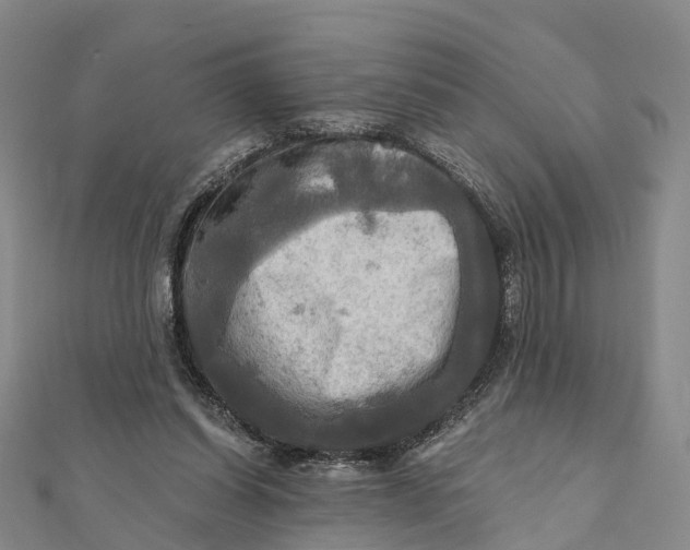 X0000112100254200908251156