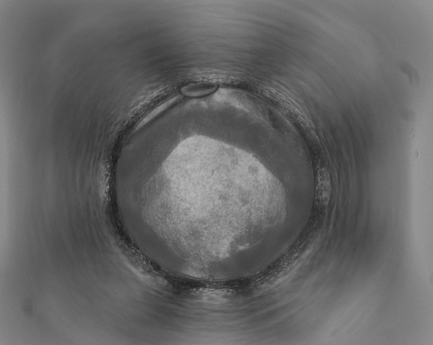 X0000112100255200908251156